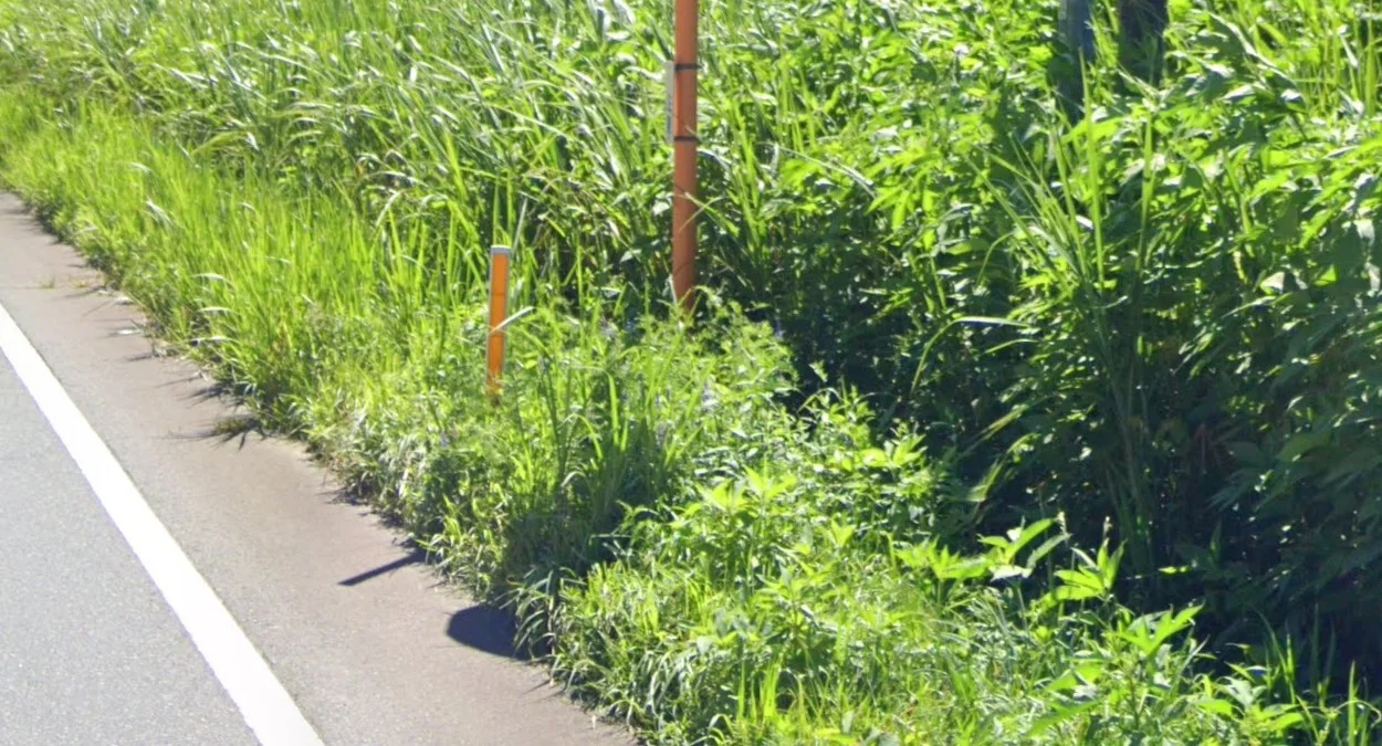 九州山口分離橙色反射器護柱