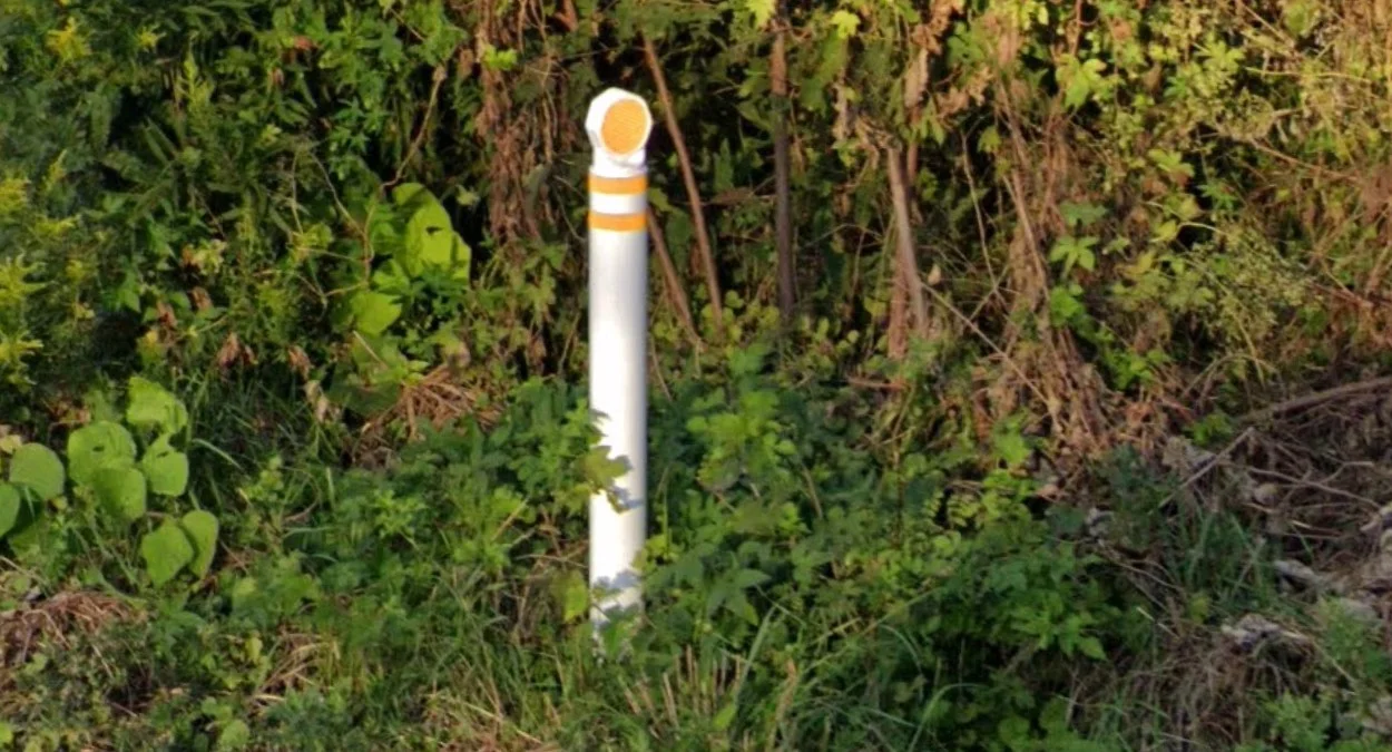 秋田厚白八邊形雙黃條護柱