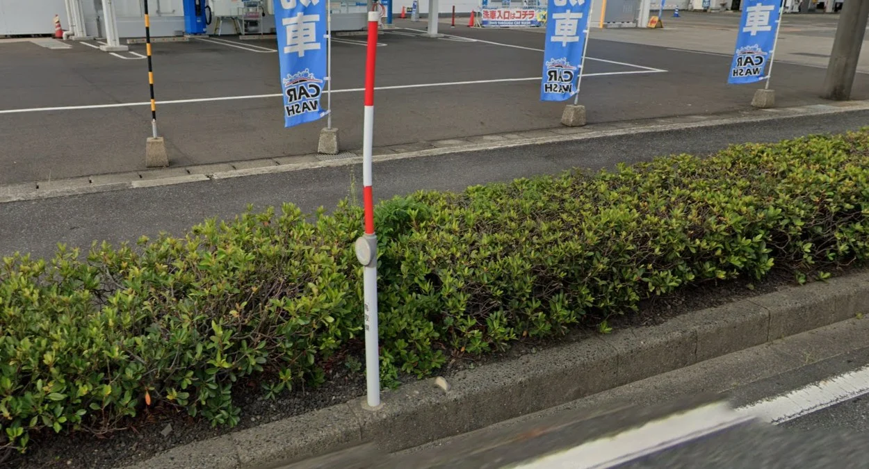 中國地區北部細雪桿