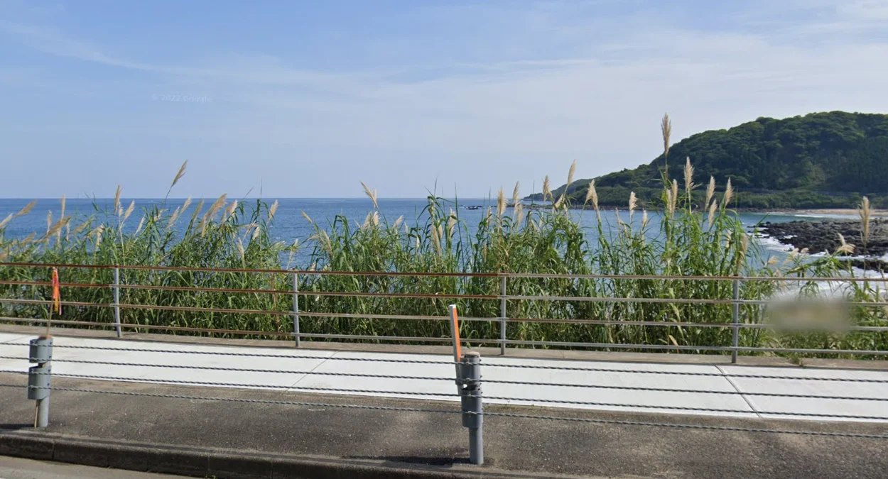 九州島豐富中國芒草