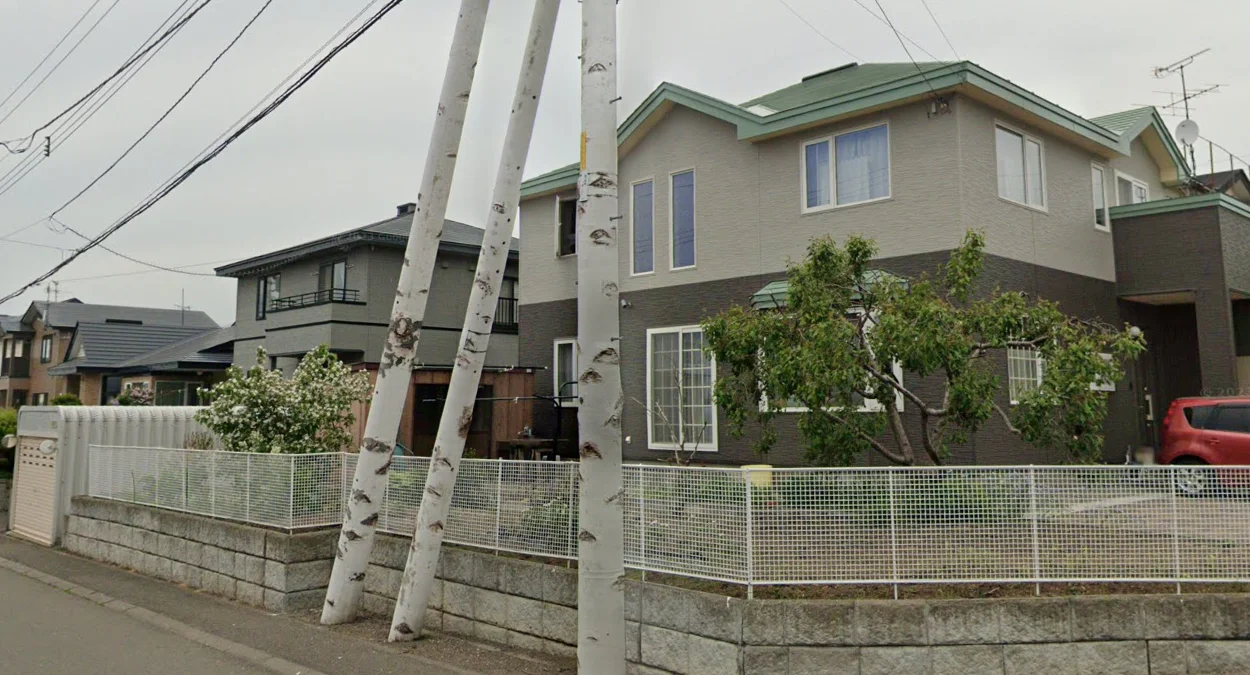 伊達市白樺樹藝術電桿