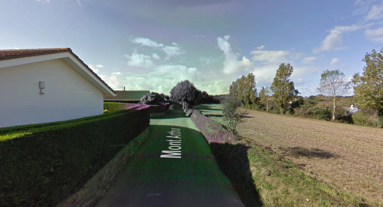 西南部綠紫色圖像變色