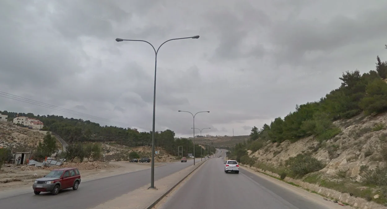 40號公路Y形路燈