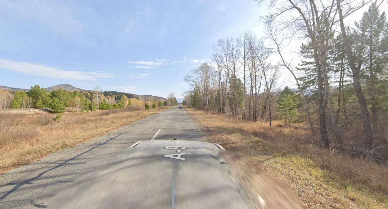 東哈薩克丘陵森林