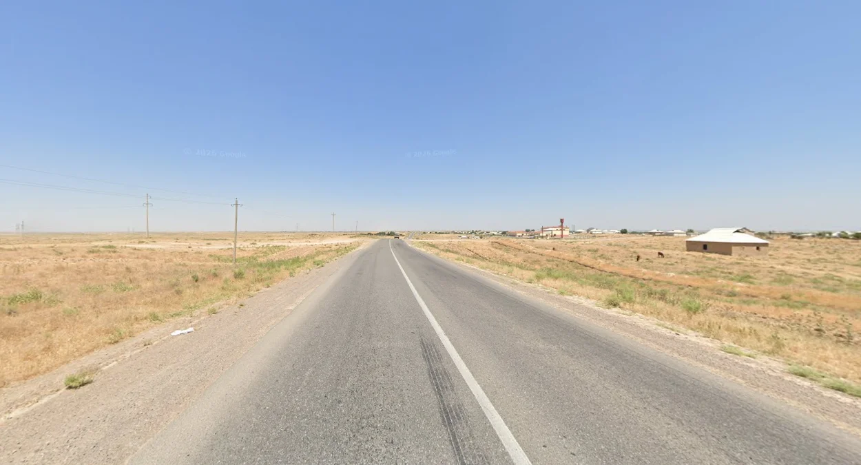 南部乾旱灌木景觀