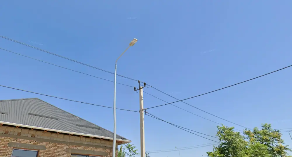 突厥斯坦細灰路燈