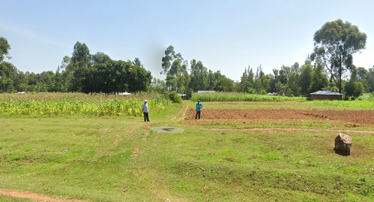 西部農業區景觀