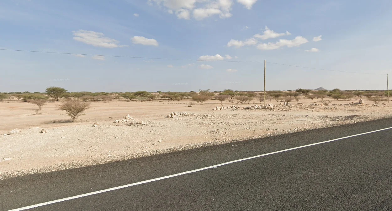 西北部淺棕色土壤