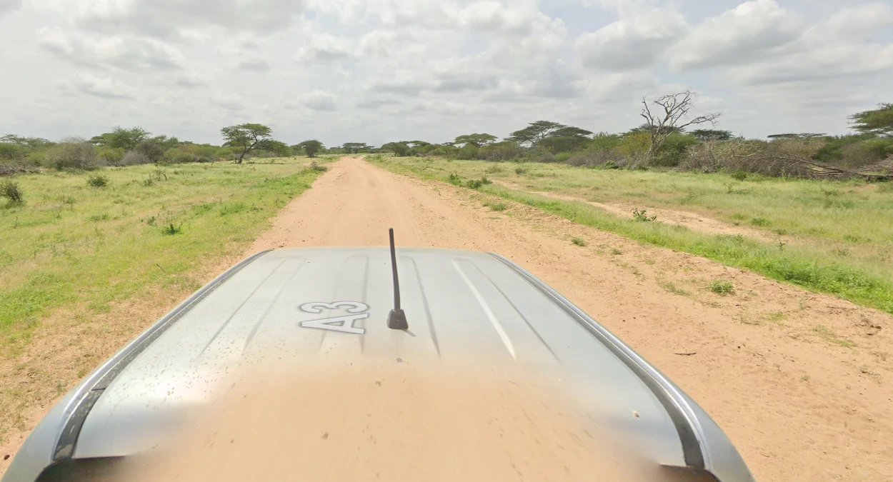 A3公路淺色土壤