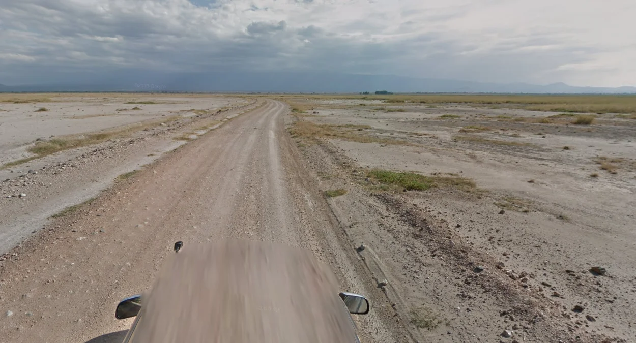 安博塞利棕草稀樹