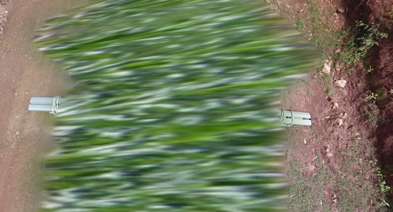 基塔萊車頂橡皮筋