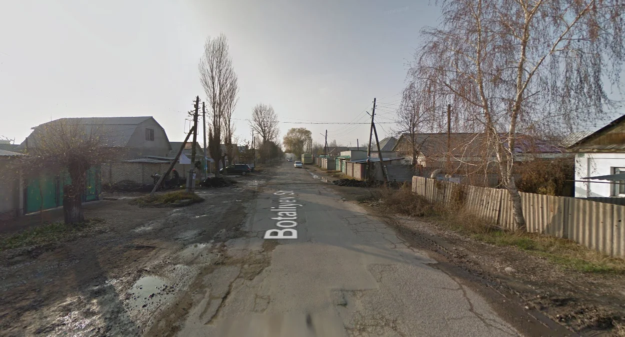 冬季街景：樹木枯黃，景色蕭瑟