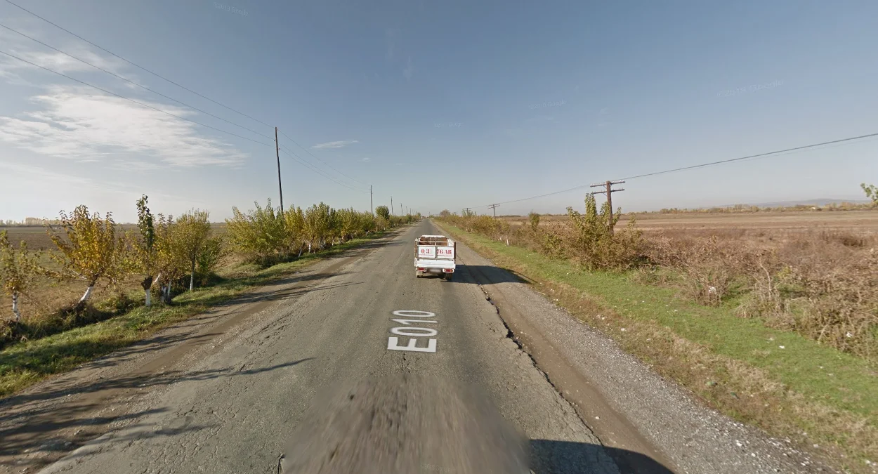 南部地區：農業與植被豐富