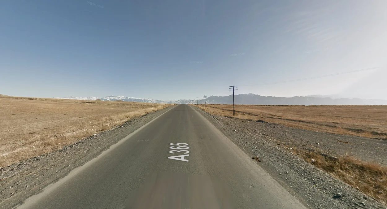 植被、建築與動物增多的區域