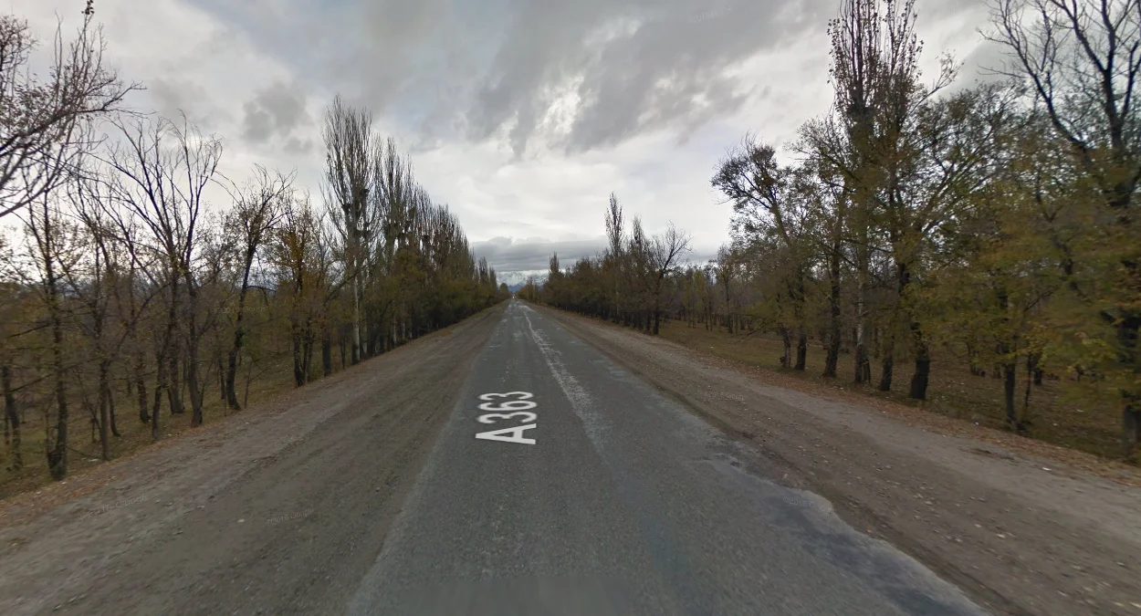 卡拉科爾北部兩側的樹排