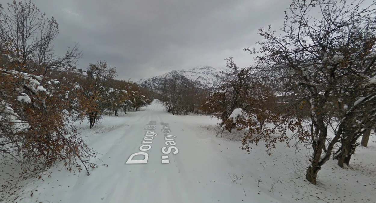 阿爾基特附近：積雪與闊葉樹