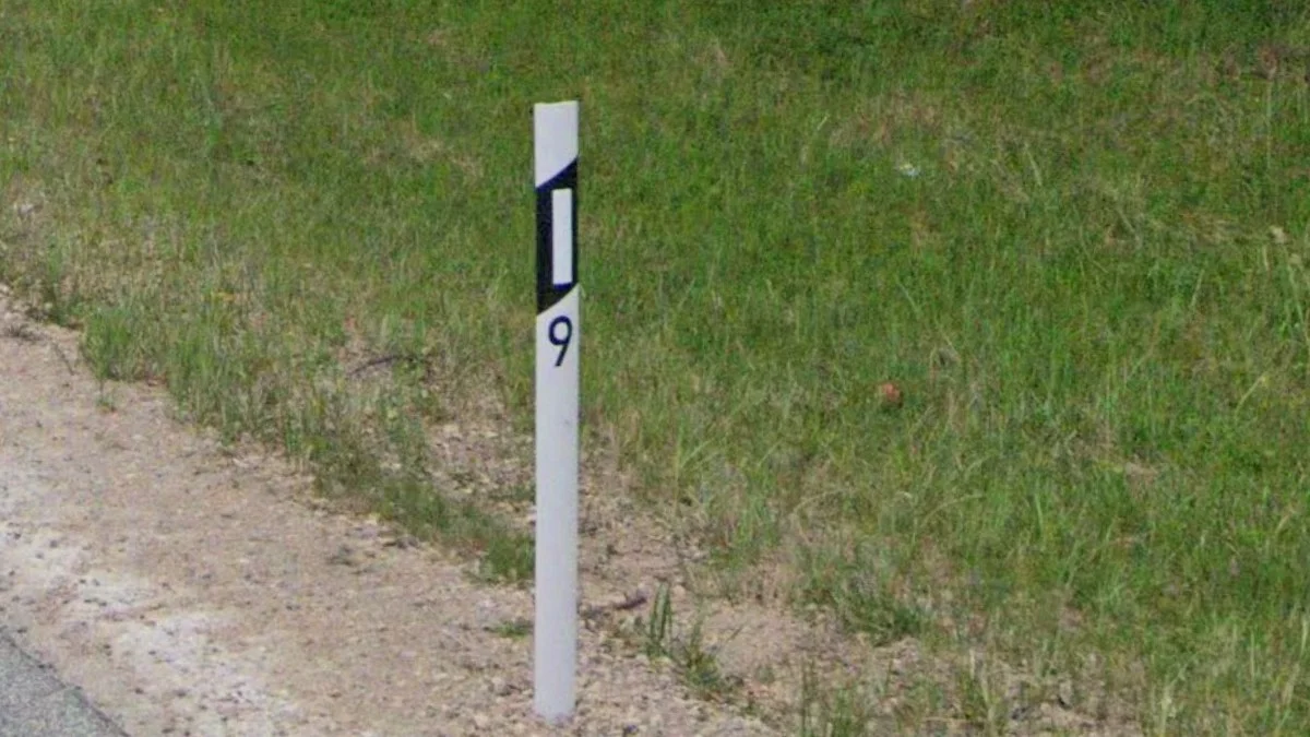 細長微彎的護柱