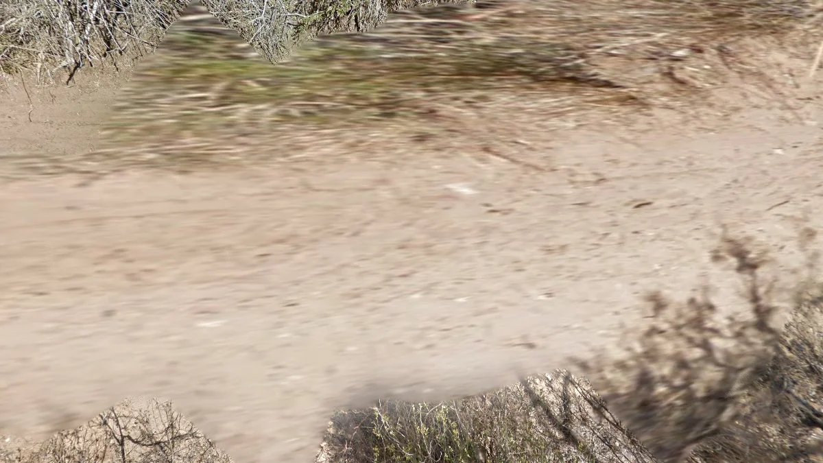 馬達加斯加綜合辨識特徵