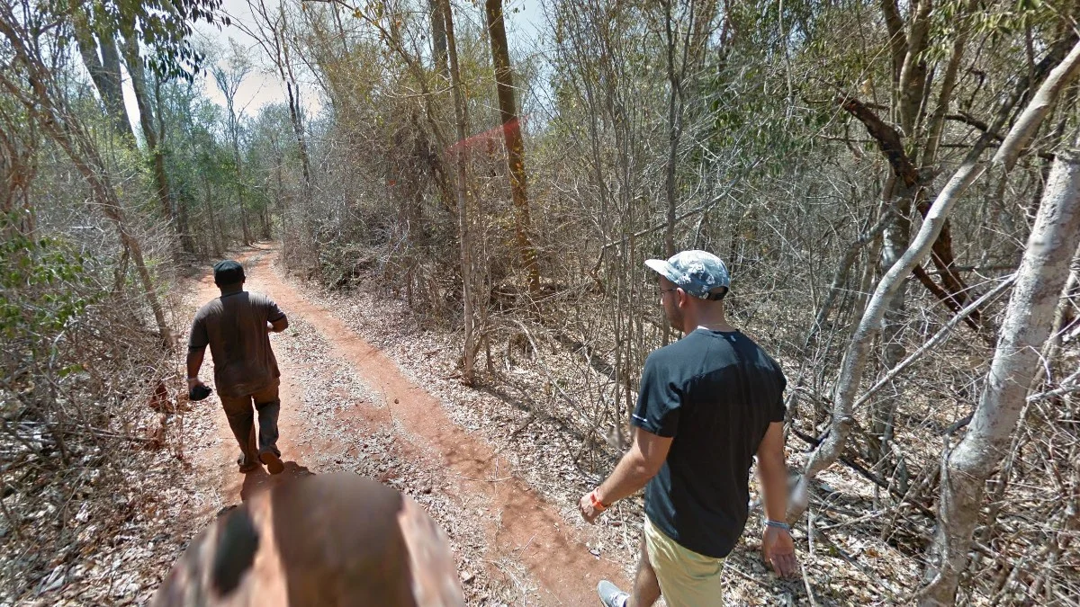 Kirindy Mitea國家公園紅土