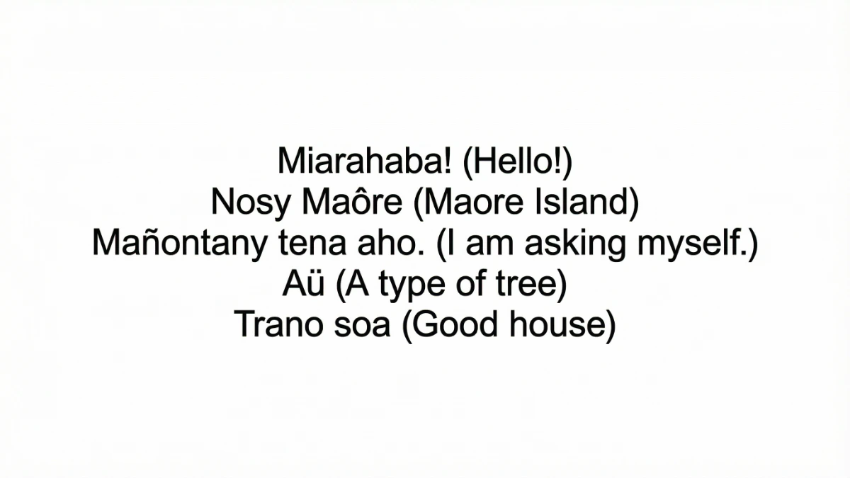 法語與馬拉加斯語