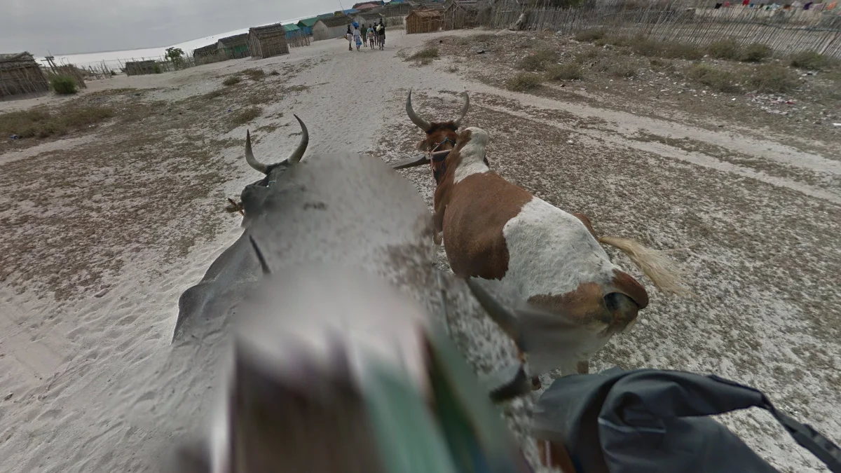 Andavadoaka南部藍色牛車