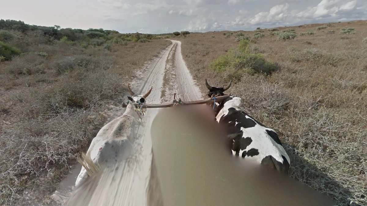 Andavadoaka南部白牛車