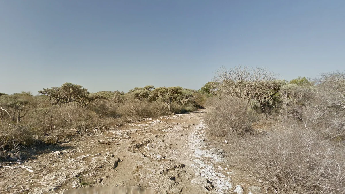 海灣西南部岩石地面