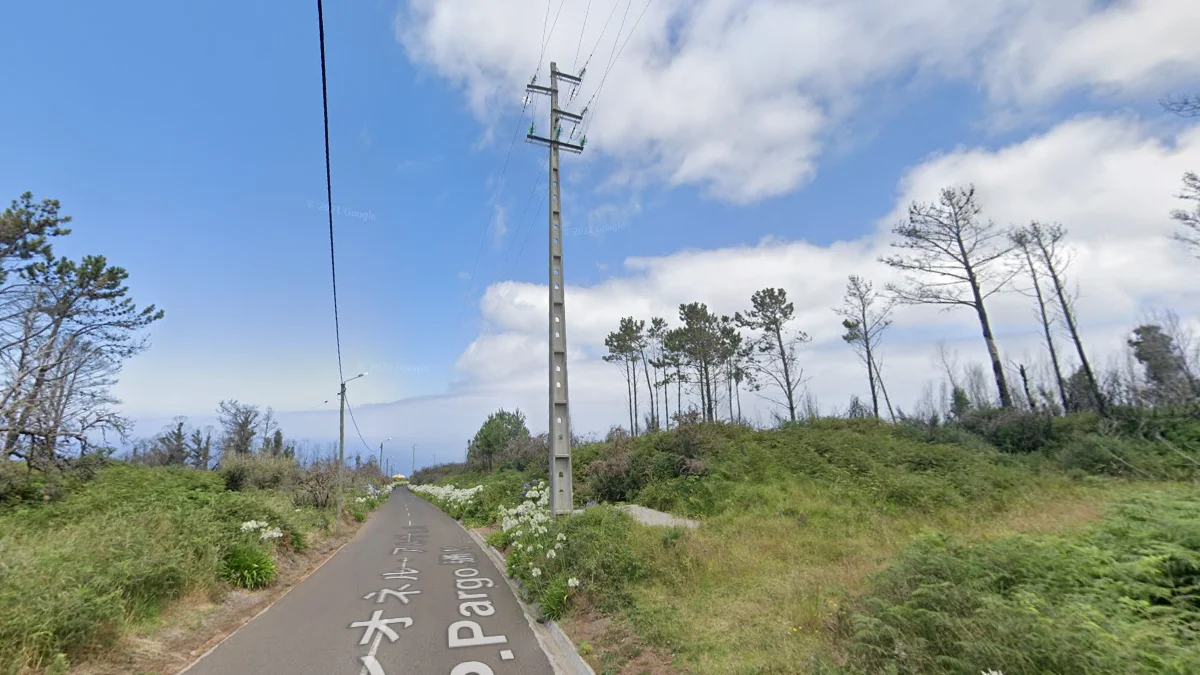 馬德拉綜合辨識特徵