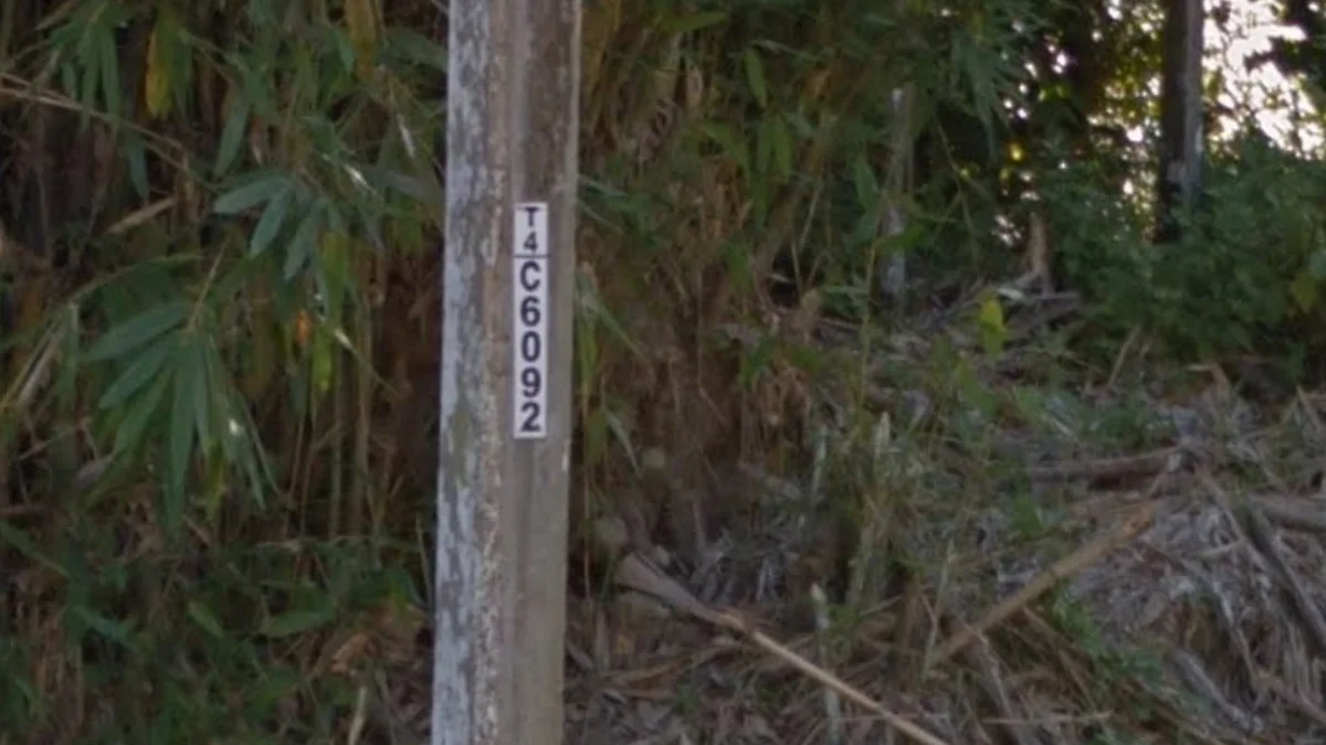 沙撈越白色電線桿貼紙