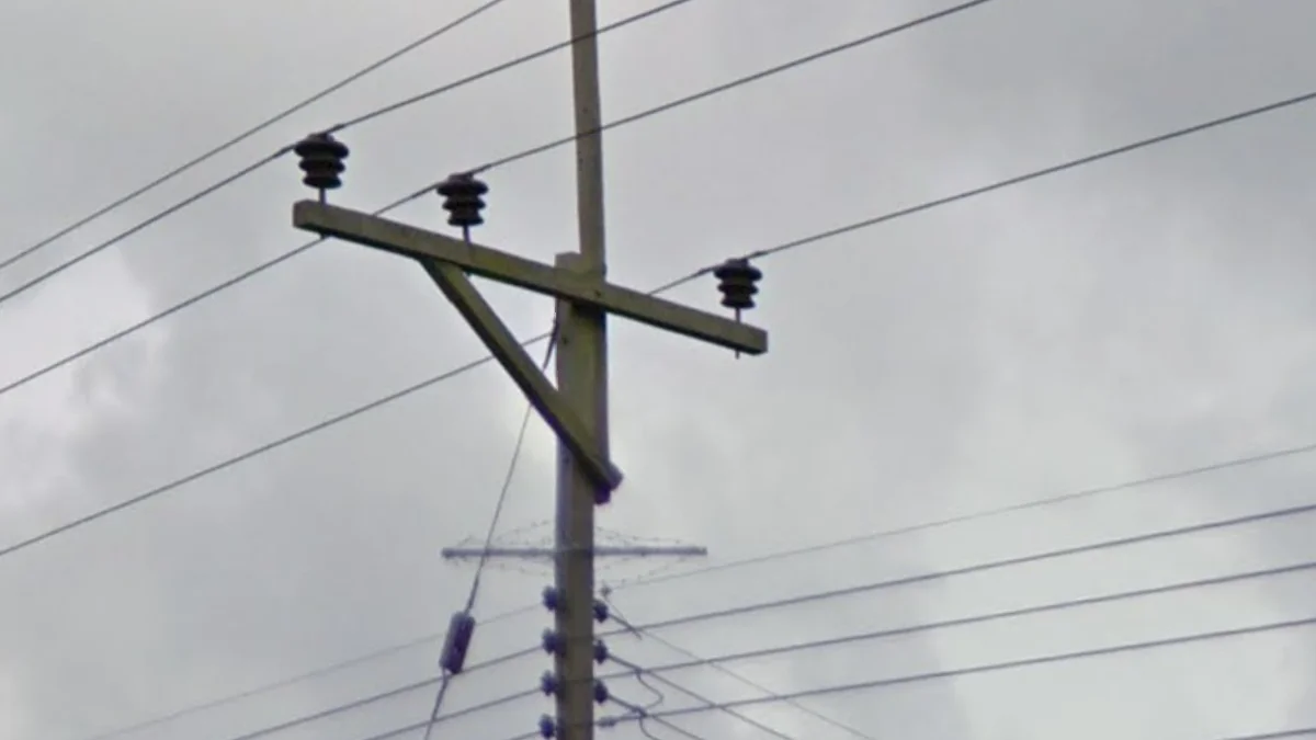 沙撈越2-1絕緣子電線桿