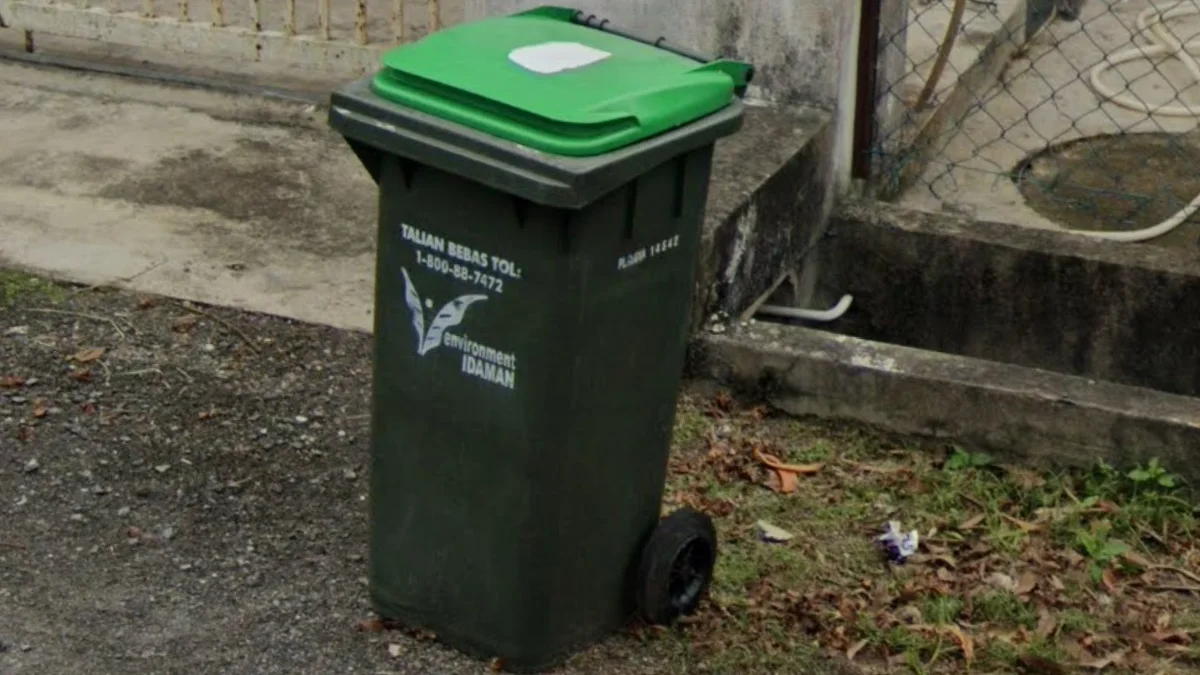 玻璃市/吉打樹葉形垃圾桶