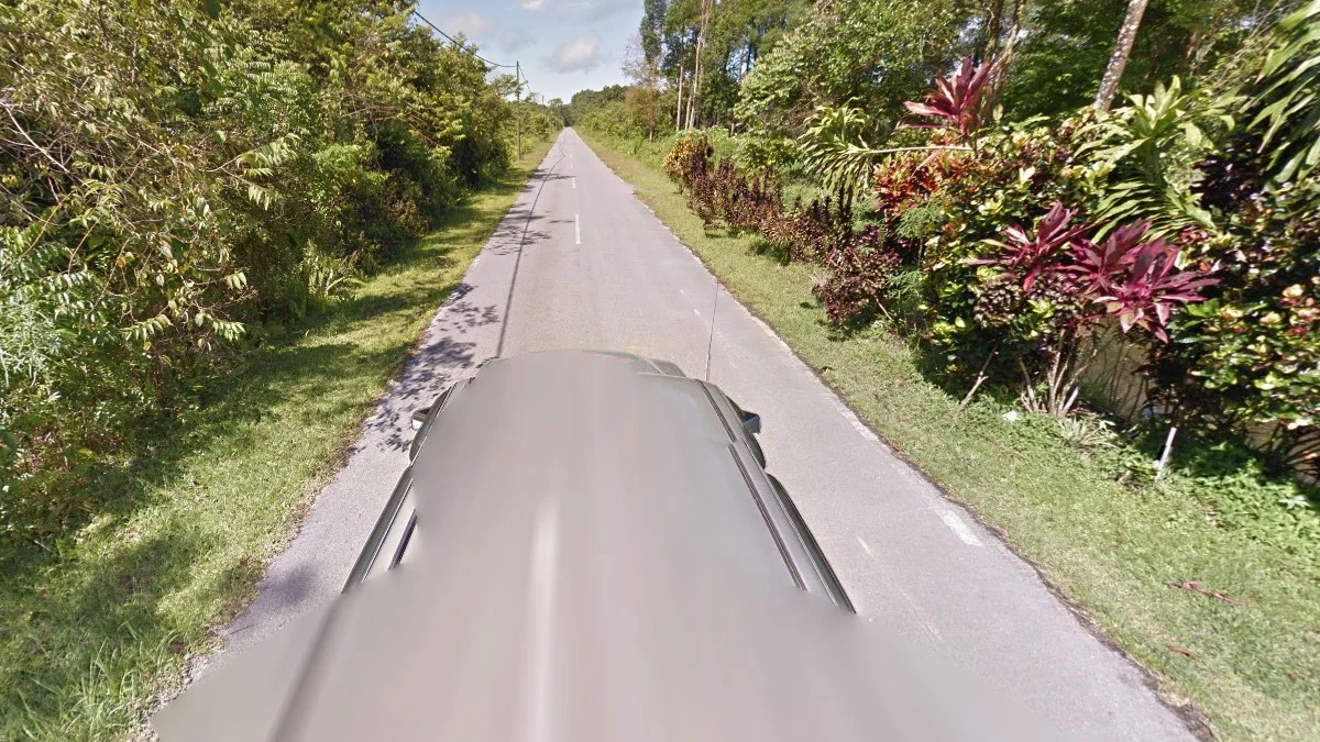 姆魯山國家公園灰色街景車