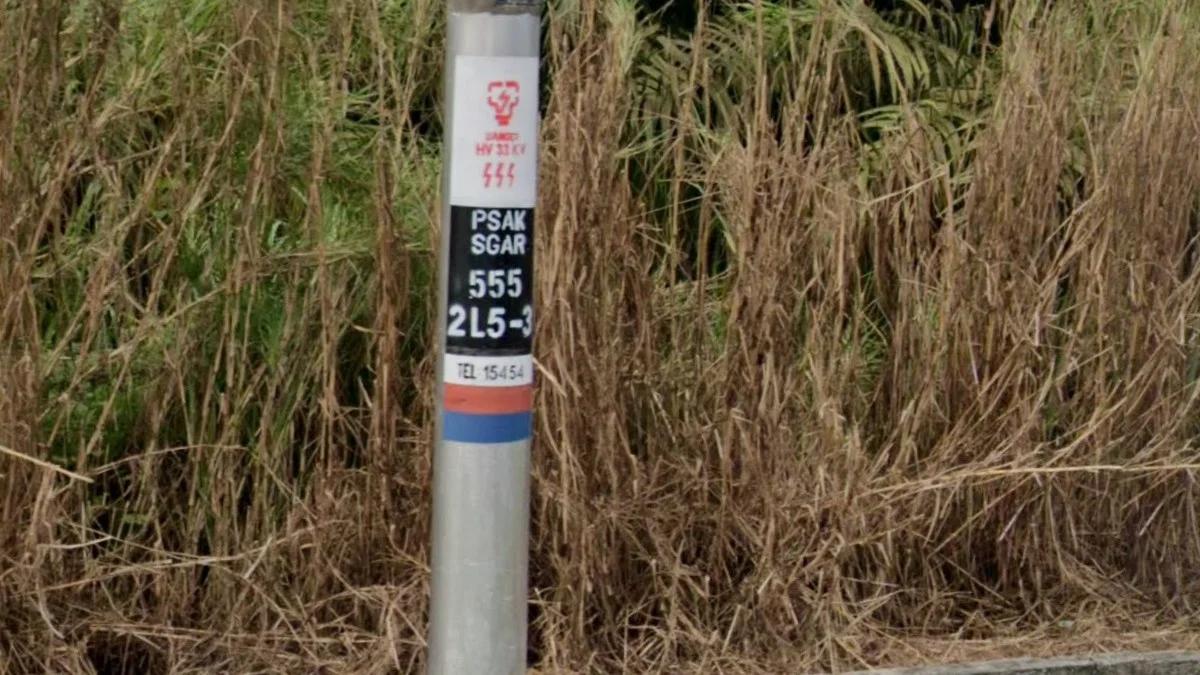 電線桿黑白貼紙