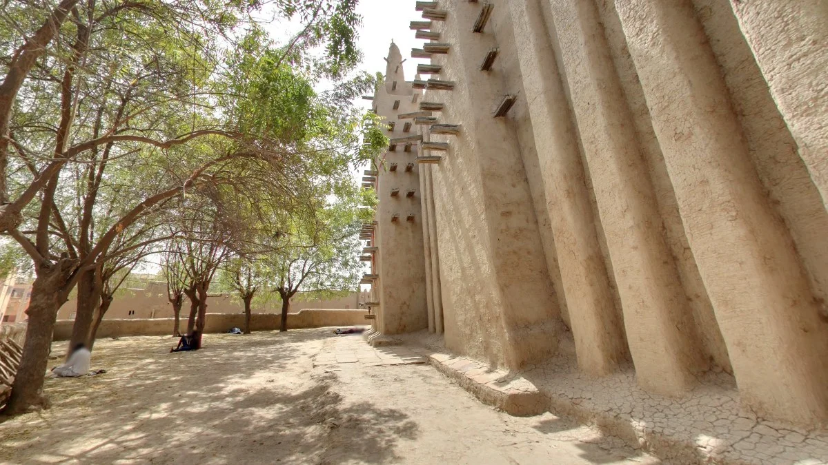 莫普提清真寺旁較近的樹木