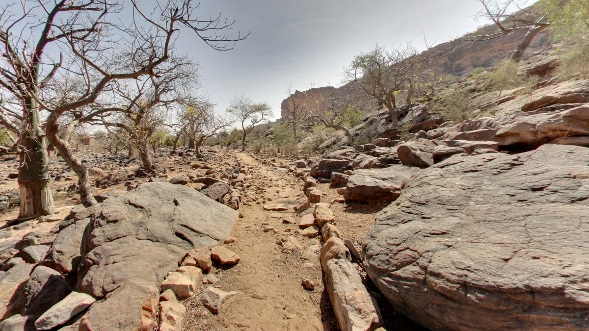 班迪亞加拉懸崖的岩石峽谷