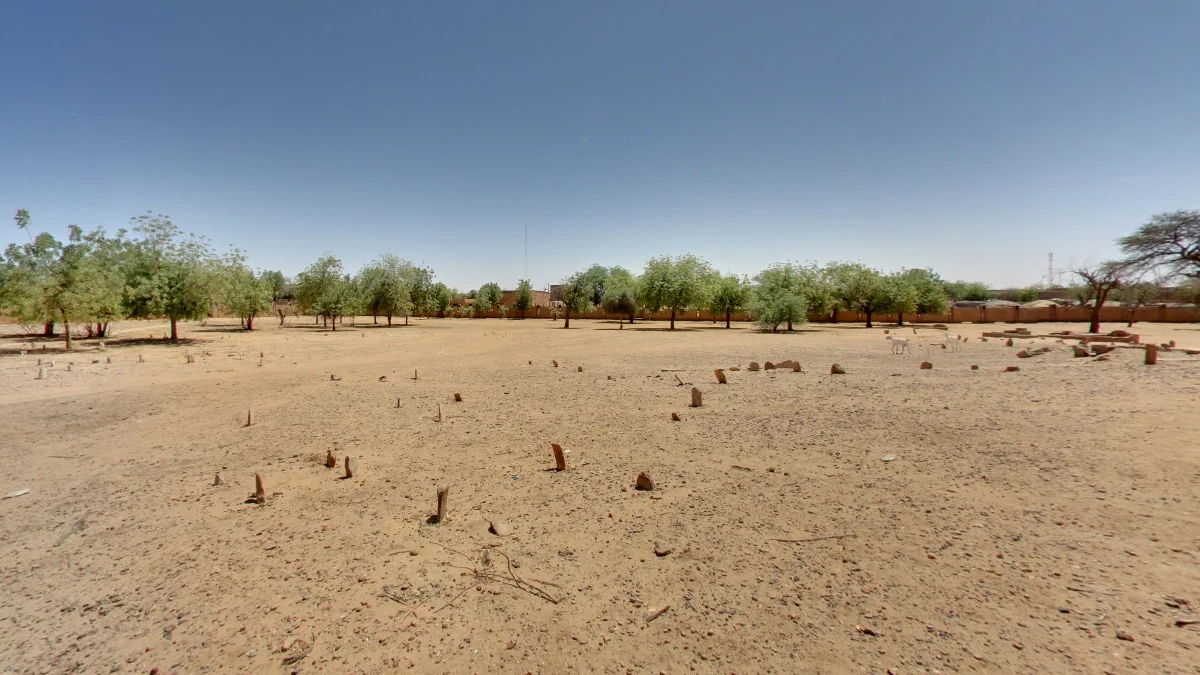 馬利普遍的乾旱沙質景觀