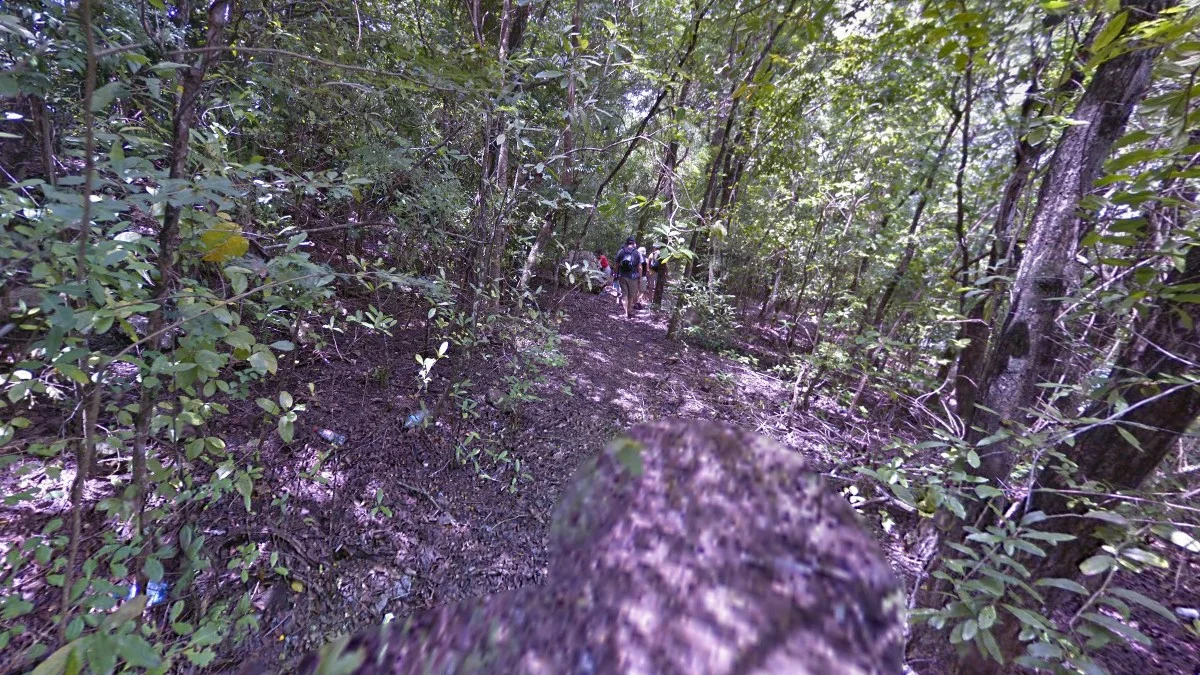 馬丁尼克沿海南部街景車