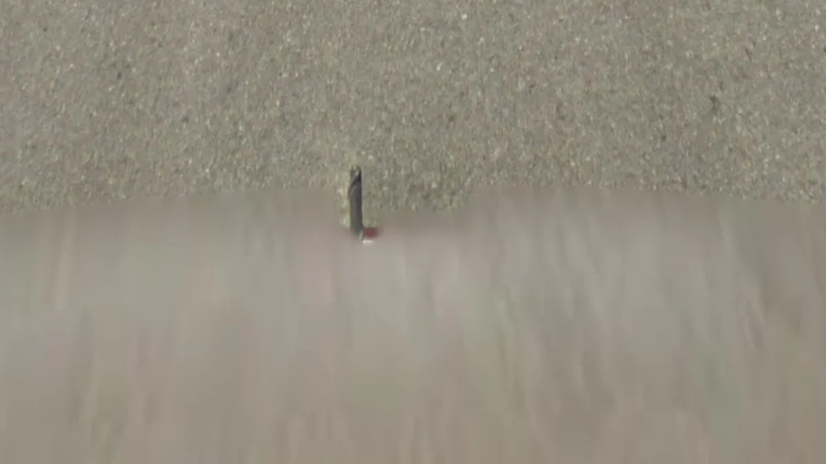 墨西哥第三代街景車的短天線