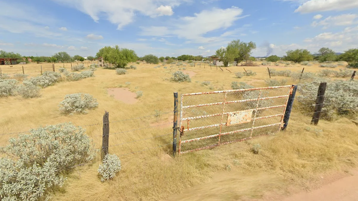 索諾拉州常見的脆灌木