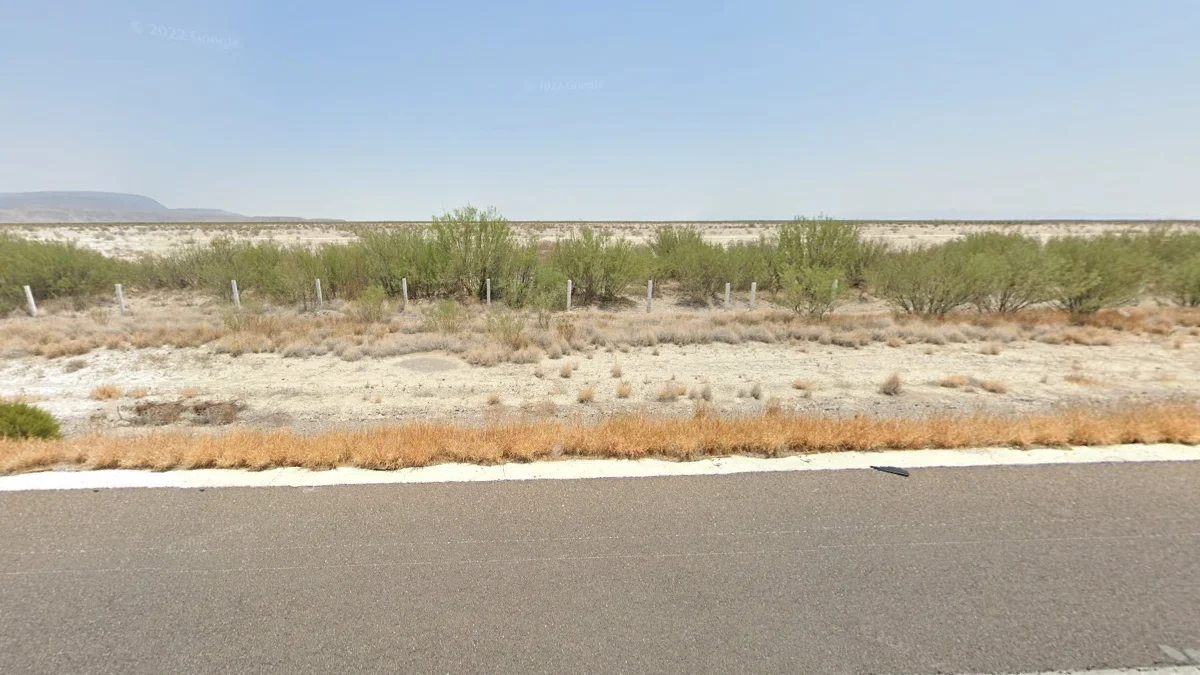 科阿韋拉州路旁的金黃草叢