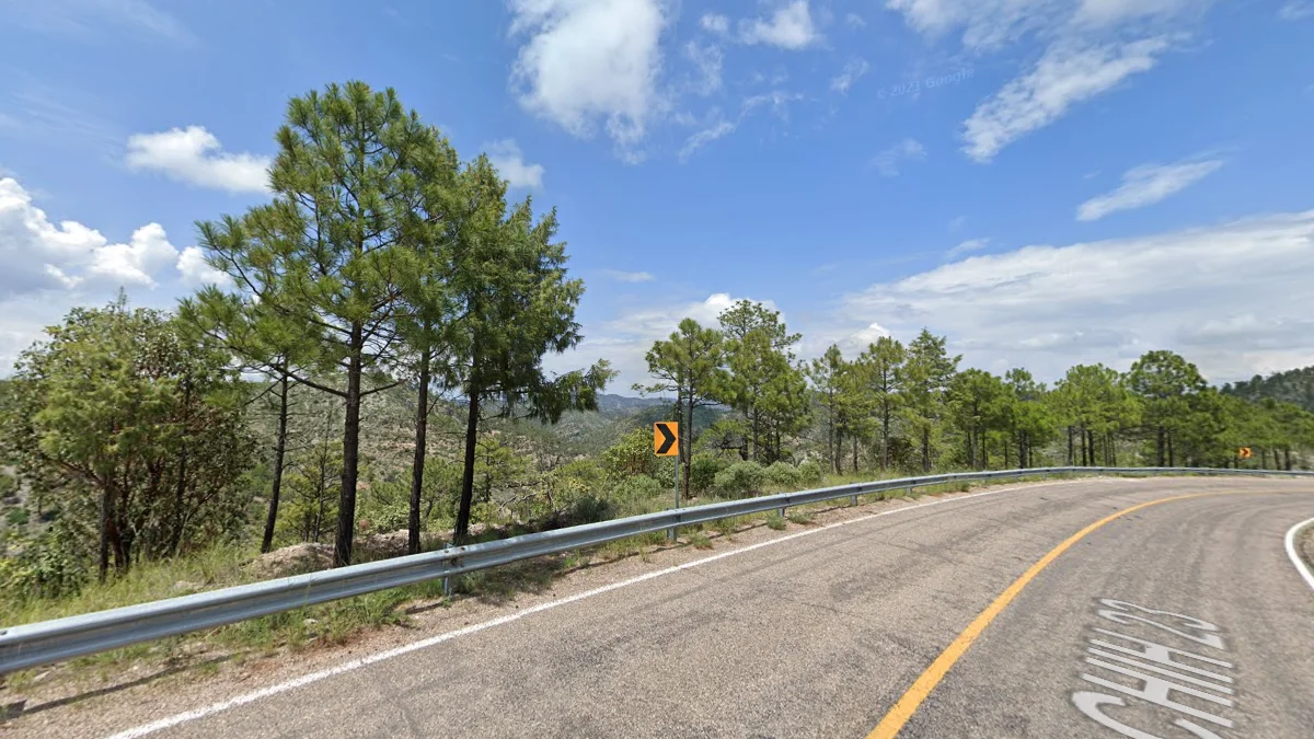 奇瓦瓦州西部的松樹林