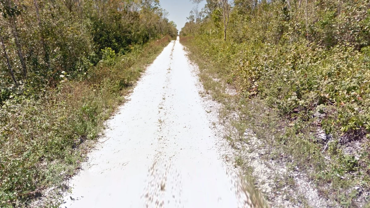 金塔納羅奧州耀眼的白色土壤