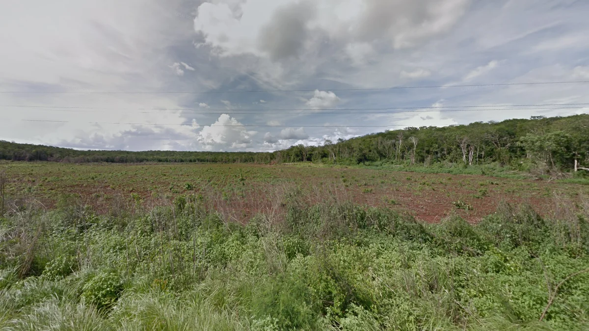 坎佩切州北部的紅色農田