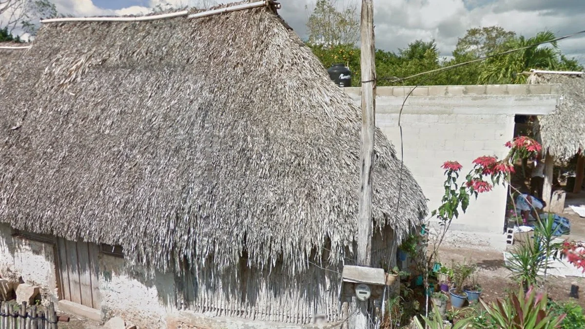 尤卡坦半島的茅草屋頂