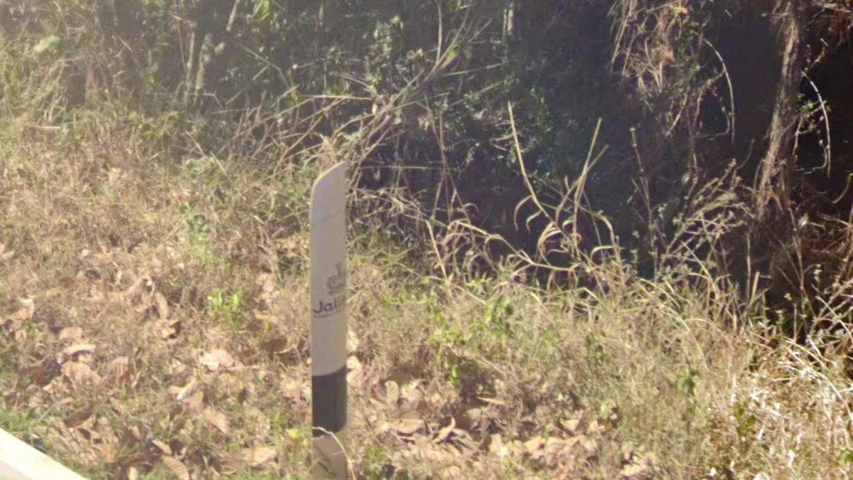 哈利斯科州帶皇冠的路樁