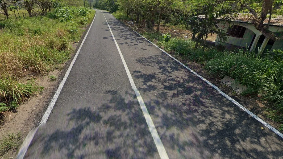 塔巴斯科州常見的白色中線