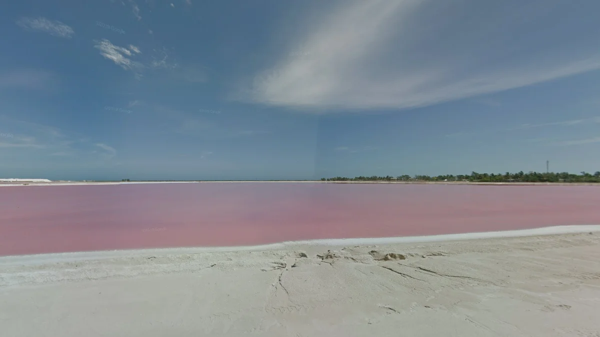 洛斯科洛拉達斯鎮的粉紅色湖泊