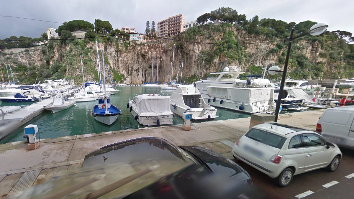 摩納哥多山的地中海植被