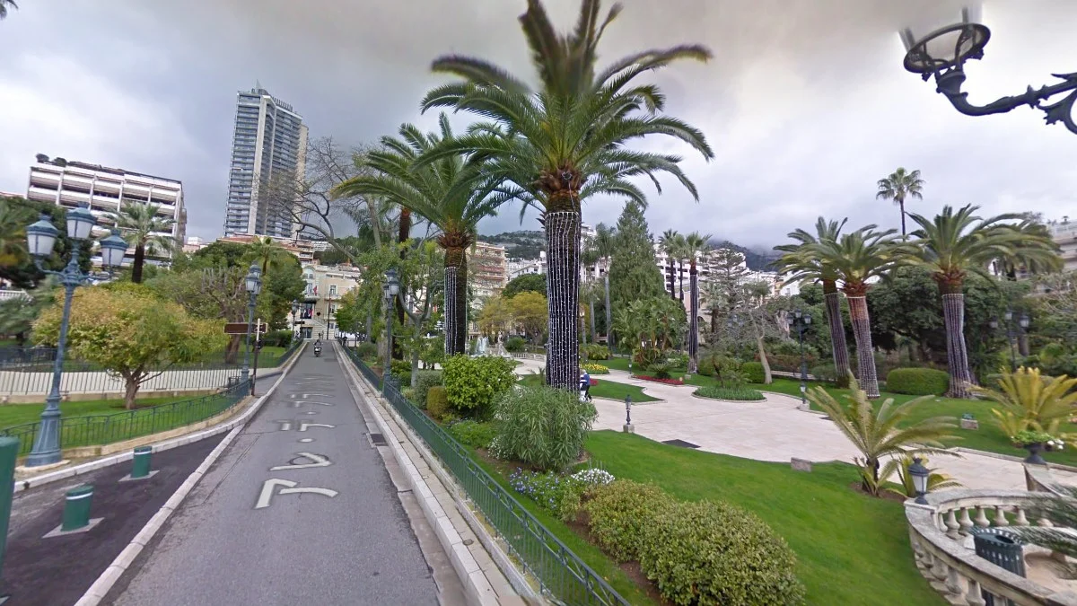 摩納哥常見的棕櫚樹