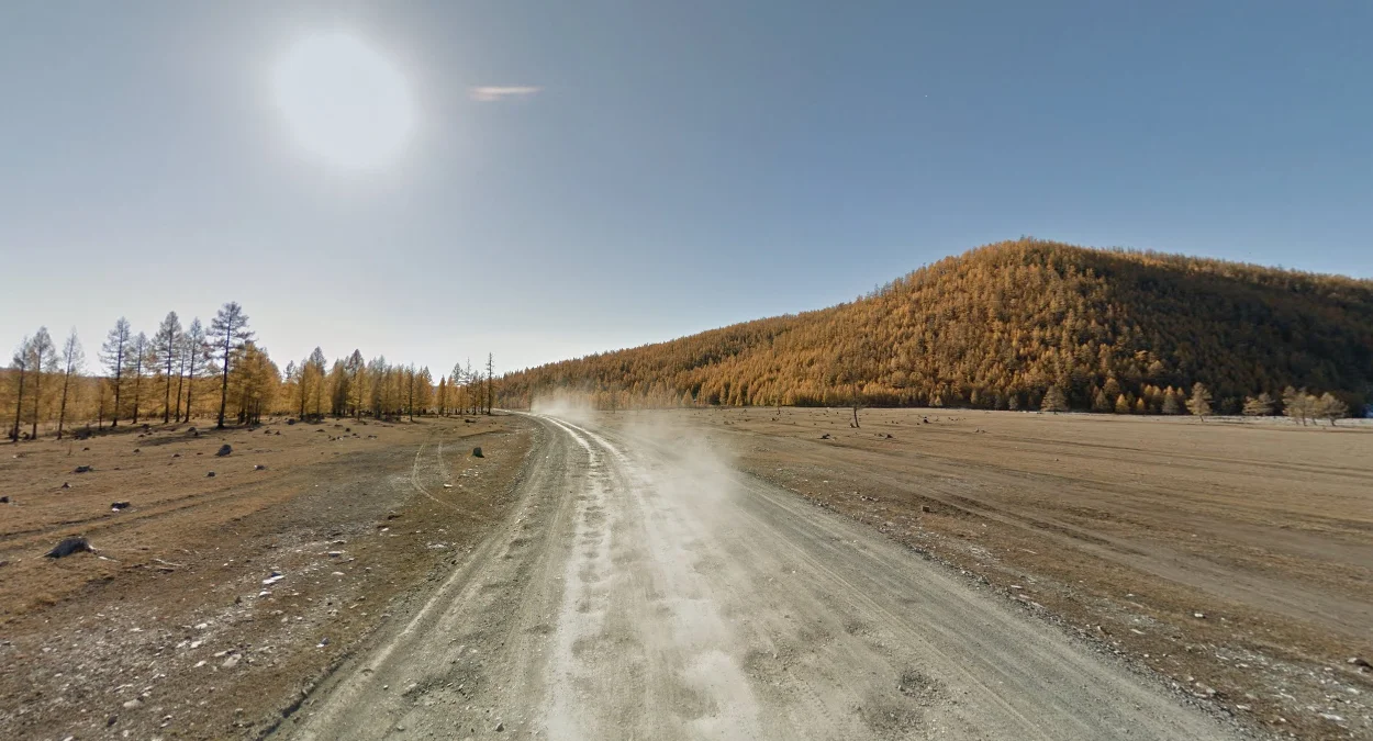 秋季：橘色樹木與草地